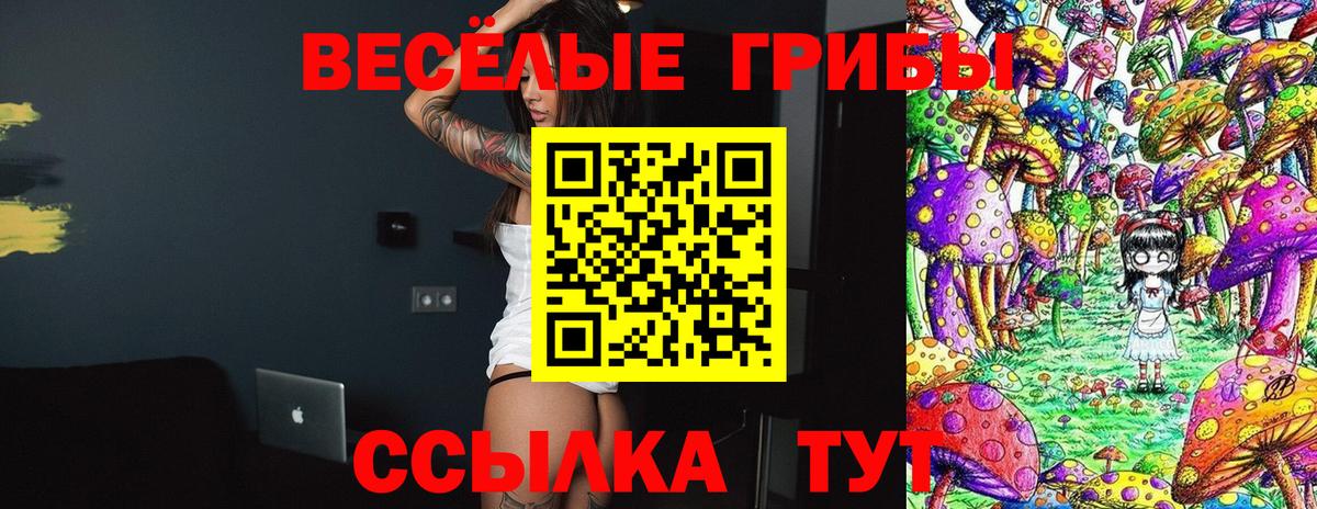 Галлюциногенные грибы мицелий  Вход с VPN  Узловая 