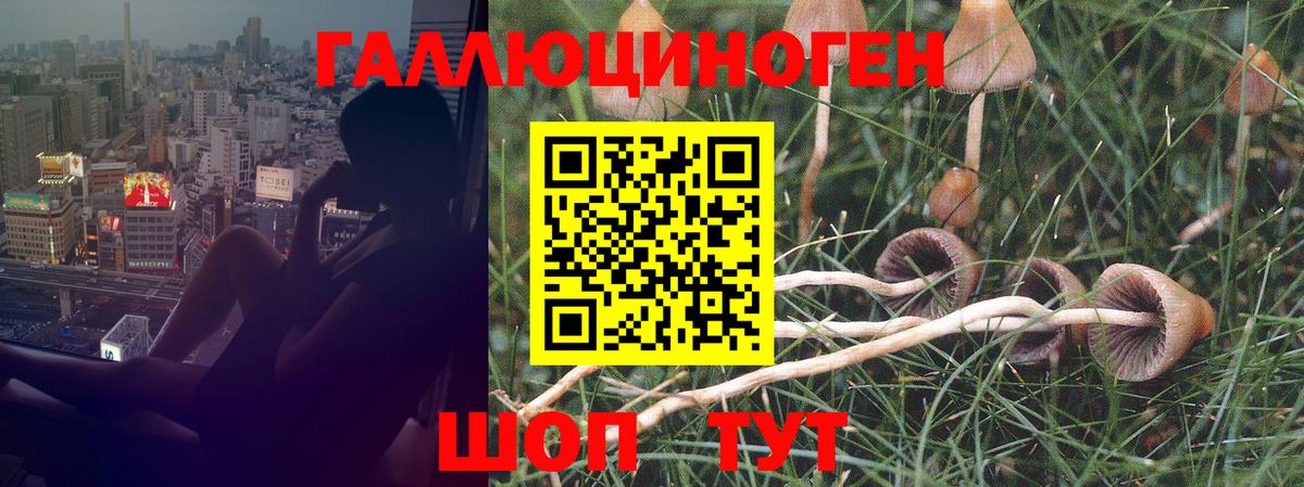 Галлюциногенные грибы мицелий Узловая